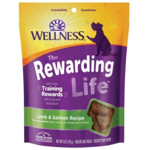 Wellness Rewarding Life WellBites Lamb & Salmon Recipe Grain Free Dog Treats 170g