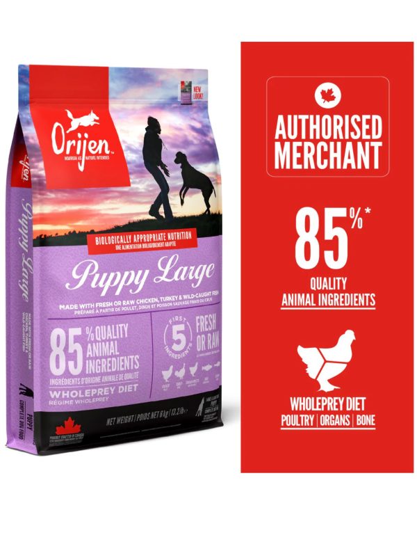 Orijen Large Breed Puppy Dog Dry Food
