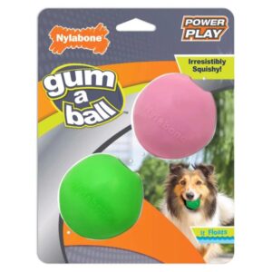 Nylabone Power Play Gum A Ball Interactive Dog Toy